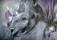 Black Rhino 70 x 100